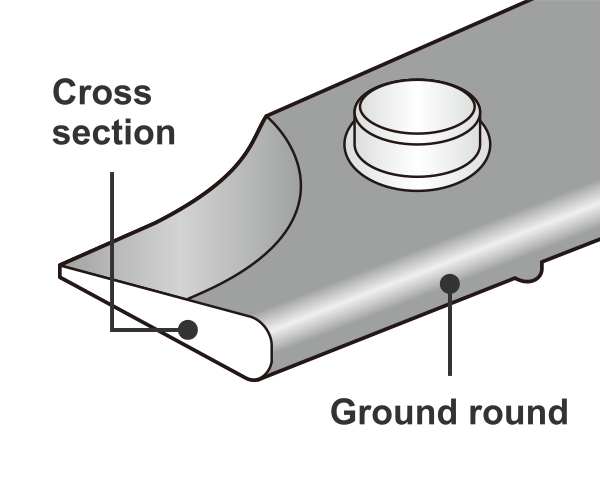 Cross section. Ground round.