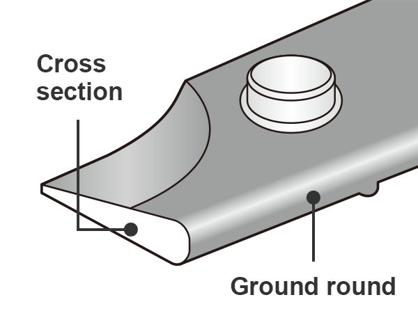 Cross section. Ground round.